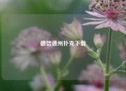 德信德州扑克下载