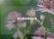 地主德信德州扑克