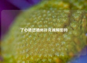 了心德信德州扑克视频密码