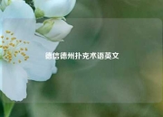 德信德州扑克术语英文