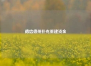 德信德州扑克重建资金