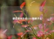德信德州扑克12345算顺子么
