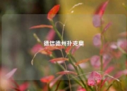 德信德州扑克奥