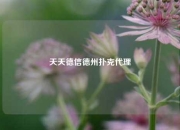 天天德信德州扑克代理