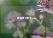 德信德州扑克3-bet
