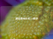 德信德州扑克mtt教学