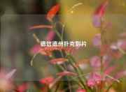 德信德州扑克影片