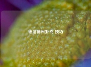 德信德州扑克 技巧