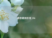 德信德州扑克 SNG