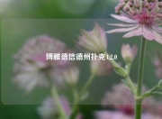 博雅德信德州扑克4.2.0