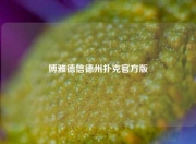 博雅德信德州扑克官方版