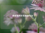德信德州扑克棋盘平台