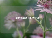 土豪的德信德州扑克下载