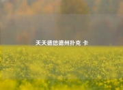 天天德信德州扑克 卡