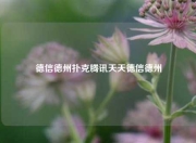 德信德州扑克腾讯天天德信德州