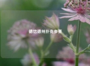 德信德州扑克参赛