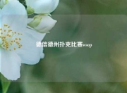 德信德州扑克比赛wsop