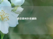 德信德州扑克辅助