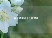 蓝天德信德州扑克微博