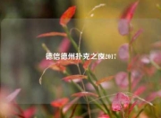 德信德州扑克之夜2017