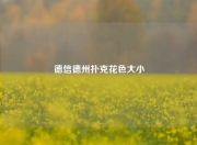 德信德州扑克花色大小