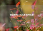 德信德州扑克比赛视频直播