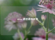 steam 德信德州扑克
