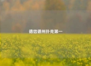 德信德州扑克第一