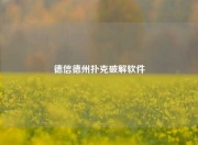 德信德州扑克破解软件