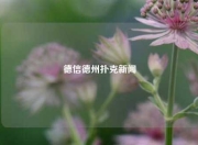 德信德州扑克新闻