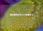 德信德州扑克12345算顺子么