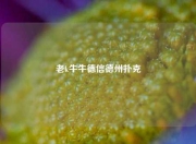 老k牛牛德信德州扑克