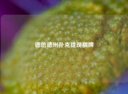 德信德州扑克提现棋牌