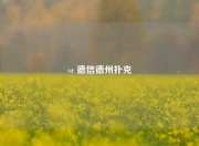 vr 德信德州扑克