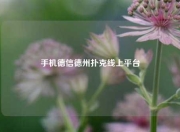 手机德信德州扑克线上平台