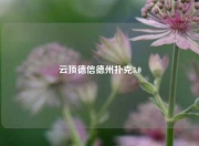 云顶德信德州扑克3.0