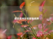 德信德州扑克都是高牌