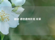 翻译 德信德州扑克 庄家