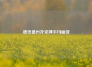 德信德州扑克牌手玛丽亚