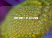 德信德州扑克 每局洗牌
