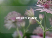 德信德州扑克3d模型