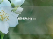 德信德州扑克 app