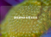 德信德州扑克毒王打法