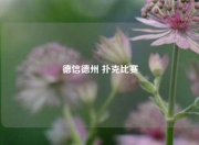 德信德州 扑克比赛