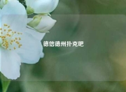德信德州扑克吧