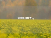 德信德州扑克kq