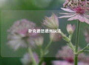 扑克德信德州玩法