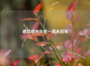 德信德州扑克一滴水冠军