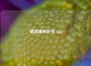 德信德州扑克 app