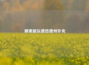 哪里能玩德信德州扑克